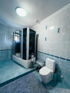 a bathroom with a toilet and a large mirror at Kolsay Tanbalytas Villa in Kolʼbastau +13 photos