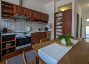 Kuchyňa alebo kuchynka v ubytovaní Apartmán Pod Valdickou bránou