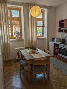 Kuchyňa alebo kuchynka v ubytovaní Apartmán Pod Valdickou bránou + 12 fotografií