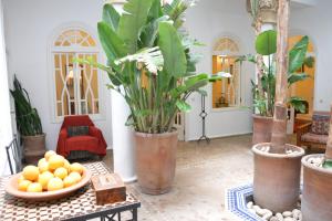 Fotografie z fotogalerie ubytování Dar Loulema v destinaci Essaouira