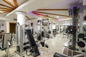 Fitness centrum a/nebo fitness zařízení v ubytování Hotel Castle