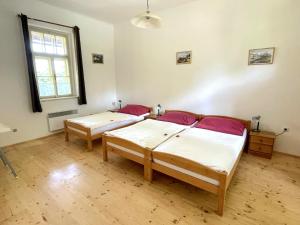 Posteľ alebo postele v izbe v ubytovaní Úzkokolejky - apartmány Kunžak - Lomy