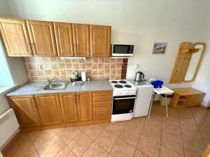 Kuchyňa alebo kuchynka v ubytovaní Úzkokolejky - apartmány Kunžak - Lomy