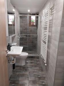 a bathroom with a toilet and a sink and a shower at Πραβιτάδικο in Arnaia +56 photos
