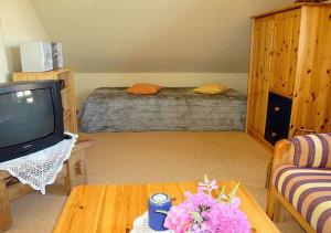 a room with a bed and a tv and a table at Ferienwohnungen Rosenträger in Kappeln +3 photos