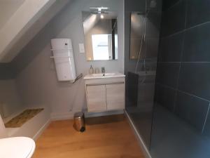 a bathroom with a sink and a shower at Chez Blandine & Pol in Hardelot-Plage +33 photos