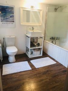 a bathroom with a sink and a toilet and a mirror at Lavande in Châtelus-le-Marcheix