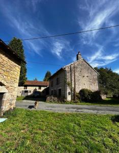 a dog sitting in the grass in front of a building at Lavande in Châtelus-le-Marcheix