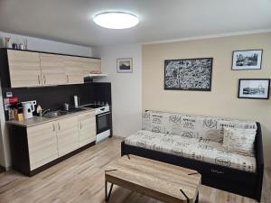 Kuchyň nebo kuchyňský kout v ubytování Apartments Praha Jinonice