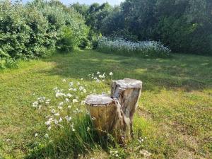 Fotografie z fotogalerie ubytování Ocean Breeze Cottage v destinaci Caherdaniel