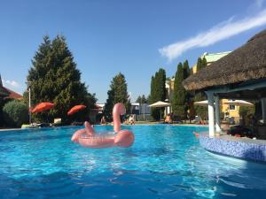 Bazén v ubytovaní Ocean Apartment alebo v jeho blízkosti