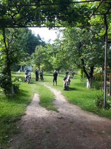 a group of people walking down a dirt road at Camping Kapxhiu in Peshkopi