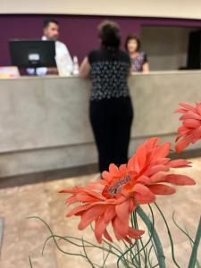 a woman standing at a counter behind a red flower at Gregorio I Hotel Boutique in San Salvador de Jujuy
