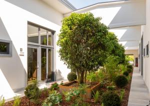 a tree in a garden in a building at Le Stanze di Gianmarmo - Galleria 41037 in Mirandola