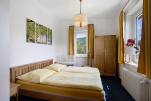 a bedroom with two beds and a window at Der Falkenhorst in Bad Sachsa