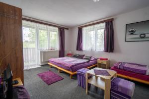 a bedroom with two beds and a tv in it at Penzion Tomy1 in Horní Planá
