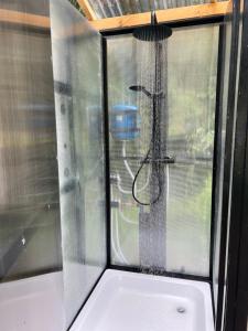 Imagine din galeria proprietății Miškas Arjola în Kaltanėnai