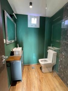 Un baño verde con inodoro y lavabo. en Q Apartments Molyvos, en Mithimna