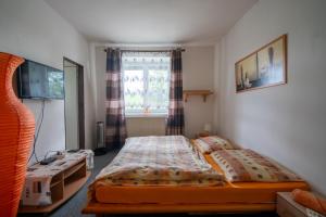 a small bedroom with a bed and a window at Penzion Tomy1 in Horní Planá