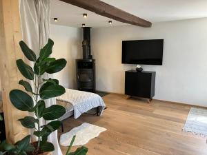 a living room with a television and a plant at Anno 1763 in St. Wolfgang