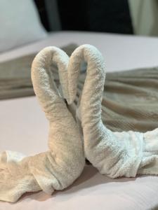 due asciugamani a forma di cigno seduti su un letto di Comfort Sphinx Inn a Il Cairo