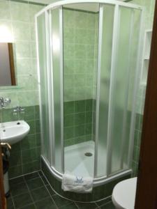 y baño con ducha y puerta de cristal. en Marianum JL,s.r.o., en Janske Lazne