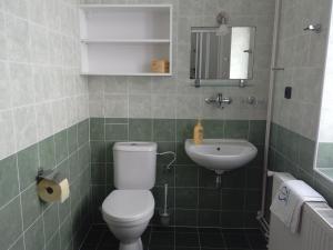a bathroom with a toilet and a sink at Marianum JL,s.r.o. in Janske Lazne +32 photos