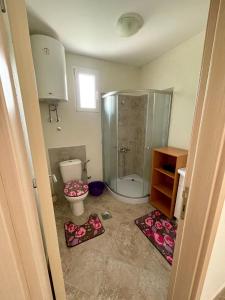 uma casa de banho com um chuveiro e um WC. em Riverside em Virpazar