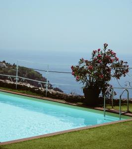 a swimming pool with a potted plant next to the ocean at Hotel Piccolo Sant'Andrea in Praiano
