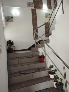 Billede fra billedgalleriet på 2 bedrooms Luxury & 7 Apartments Vila Camelia Eforie Sud i Eforie Sud