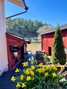 a bunch of yellow flowers in front of a building at Old Town B&B Ida-Maria in Porvoo