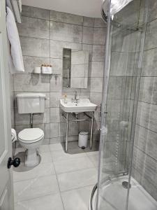 a bathroom with a toilet and a sink and a shower at Owston Hall Hotel in Doncaster