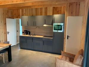 a kitchen with gray cabinets and a counter top at Wellnesslodge Kievit jacuzzi sauna and privacy in Dalerveen