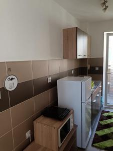 Η κουζίνα ή μικρή κουζίνα στο Jagodina 301