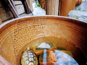 Foto dalla galleria di 四季の宿 徹星 a Tokoname