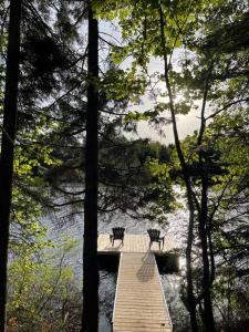 Gallery image of O'Chalet 14 in Sainte-ThÃ¨cle