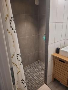 a bathroom with a shower with a shower curtain at La Maison JAUNE in Die