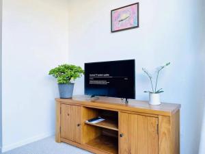 a tv on a wooden cabinet with two potted plants at New townhouse with garden in the city centre in Auckland