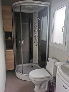 a bathroom with a shower and a toilet and a sink at Big Berry Kolpa- King mobile house in Gradac