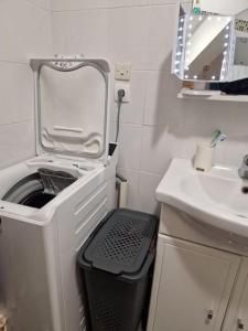 une laveuse et une sécheuse dans une salle de bain avec un lavabo dans l'établissement Appartement 58m2 lumineux en face du Parc des expositions, à Vanves
