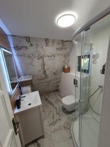 a bathroom with a shower and a toilet and a sink at A frame Cuib de Vultur in Porumbacu de Sus +40 photos