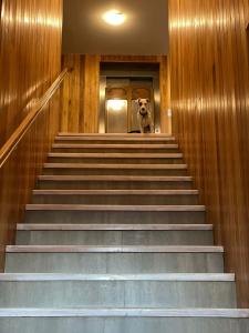 Φωτογραφία από το άλμπουμ του Las Bayas Home Suites σε Esquel