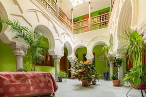 a lobby with plants and a couch in a building at Safestay Cordoba Mezquita Catedral in Córdoba
