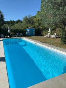 ein Swimmingpool mit blauem Wasser in einem Hof in der Unterkunft The room on the terrace in Londa