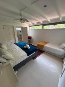 un dormitorio con dos camas y un sofá en Innisfree Manor, en Somerset West 70 fotos más