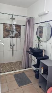 a bathroom with a shower and a sink and a mirror at Hibiscus et Miro in Ducos