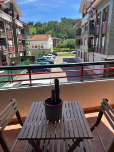 a cactus sitting on a wooden table on a balcony at C17A01Moderno apto 3 dormitorios in Ampuero