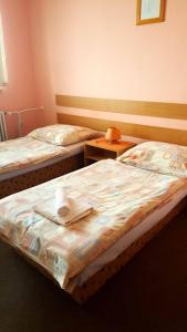 Postel nebo postele na pokoji v ubytování Penzion Premona