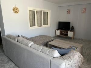 a living room with a couch and a tv at Renovated Guest House in Vathý