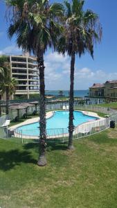 two palm trees in front of a swimming pool at Bay Tree B78 in Port Aransas